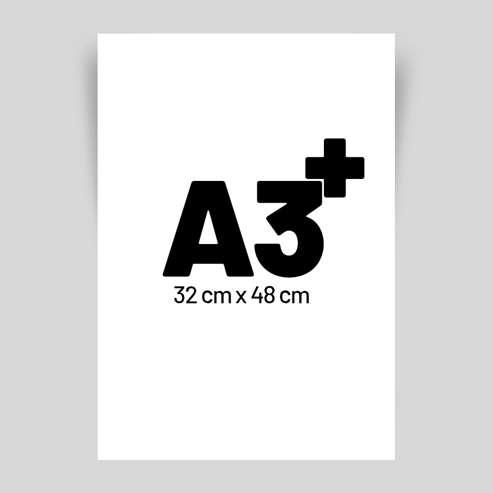 Cetak Standard A3+ - DIGIBALI